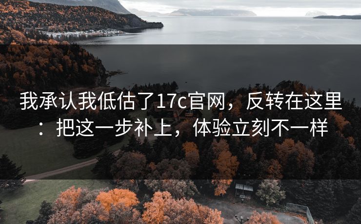 我承认我低估了17c官网，反转在这里：把这一步补上，体验立刻不一样