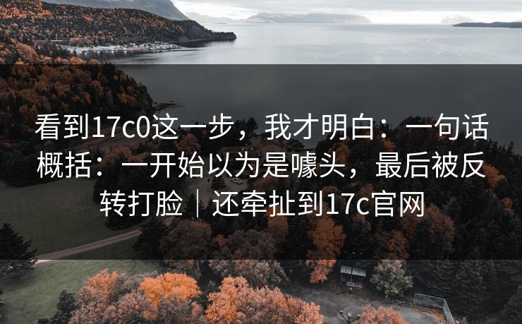 看到17c0这一步，我才明白：一句话概括：一开始以为是噱头，最后被反转打脸｜还牵扯到17c官网