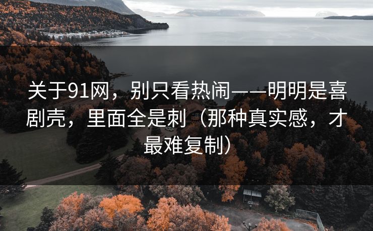 关于91网，别只看热闹——明明是喜剧壳，里面全是刺（那种真实感，才最难复制）