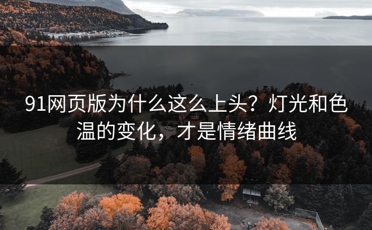 91网页版为什么这么上头？灯光和色温的变化，才是情绪曲线